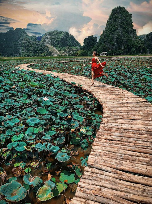 Địa điểm được nhiều người check-in với đầm sen nở rộ nên thơ.