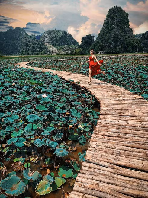 Địa điểm được nhiều người check-in với đầm sen nở rộ nên thơ.