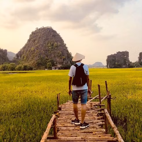 Nằm dưới chân Hang Múa nên đỉnh núi Múa tiếp tục là địa điểm để ngắm trọn "mùa vàng Tam Cốc" cùng cánh đồng sen rộng hơn 1ha.