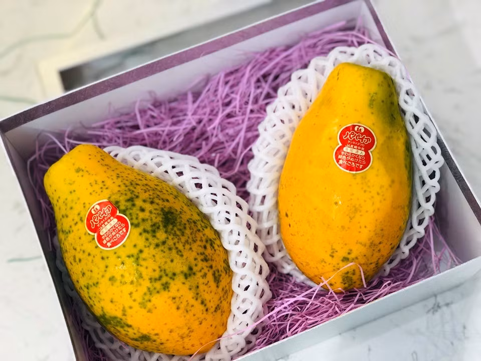 Du du Nhat 1 trieu dong/kg khien chi em 