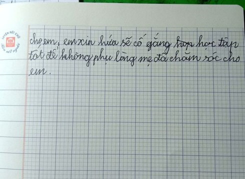 Bai van ta me 'rang vang khe sau lan moi do' cua HS lop 5 gay xon xao-Hinh-3