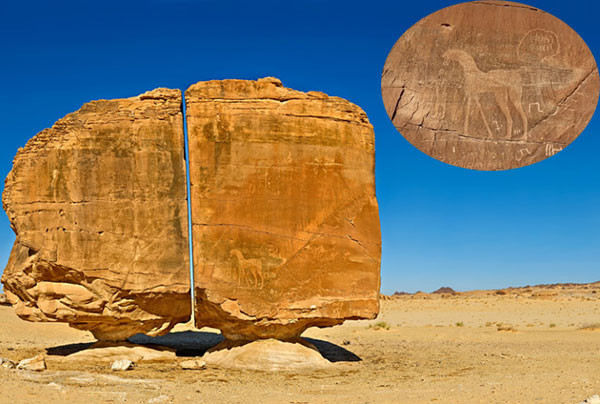 Bi an vet cat chia doi khoi da hang van nam tuoi-Hinh-3