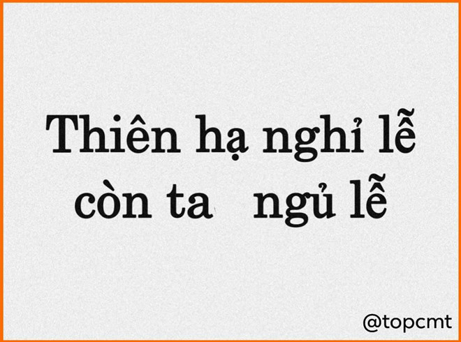 Trong số "những kiểu người ngày nghỉ lễ" không thể thiếu hội "những con sâu ngủ". Sau thời gian học tập, làm việc căng thẳng, hạnh phúc bình dị có lẽ là được nằm ngủ nướng thật lâu. Ảnh: Top comments.