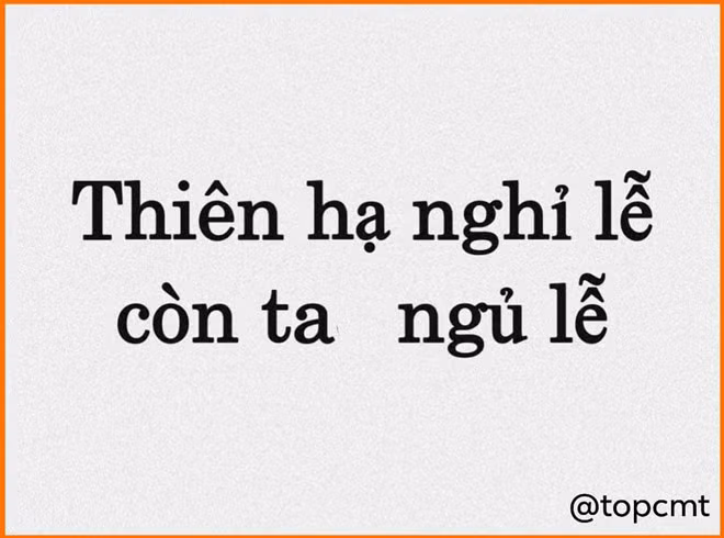 Trong số "những kiểu người ngày nghỉ lễ" không thể thiếu hội "những con sâu ngủ". Sau thời gian học tập, làm việc căng thẳng, hạnh phúc bình dị có lẽ là được nằm ngủ nướng thật lâu. Ảnh: Top comments.