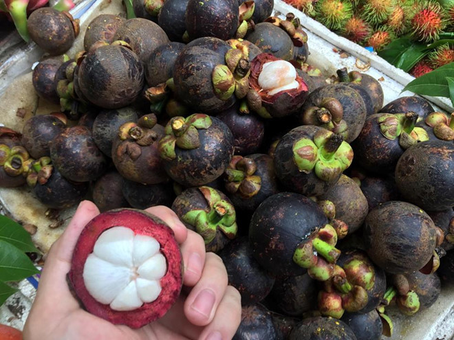 Bán 1,7 kg măng cụt cho khách nước ngoài với giá 1 triệu đồng, bà Lê Thị Én, (52 tuổi) ở TP Huế đã bị cơ quan chức năng xử phạt hành chính 1,5 triệu đồng về hành vi Dùng thủ đoạn gian dối để chiếm đoạt tài sản. Một người chứng kiến sự việc yêu cầu bà trả lại tiền cho du khách thì bị chị này quát mắng. Đồng thời một nhóm người đang đứng bán hàng cũng cầm dao đòi hành hung người này.