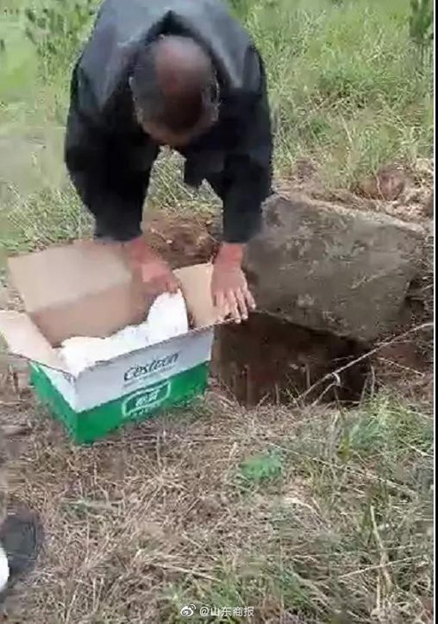 Dem chau trai so sinh len nui chon, 2 thang sau soc nang khi biet su that