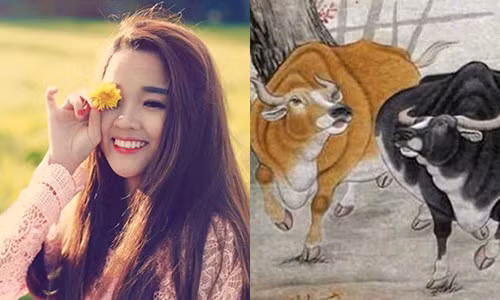 Diem danh 3 con giap co loc bat tan nam 2019