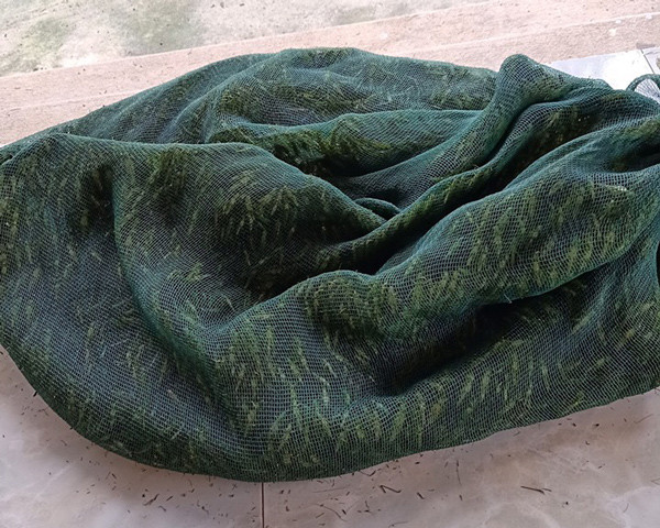 Nguoi Viet giang luoi bat “tom bay”, ca trieu dong/ngay-Hinh-2