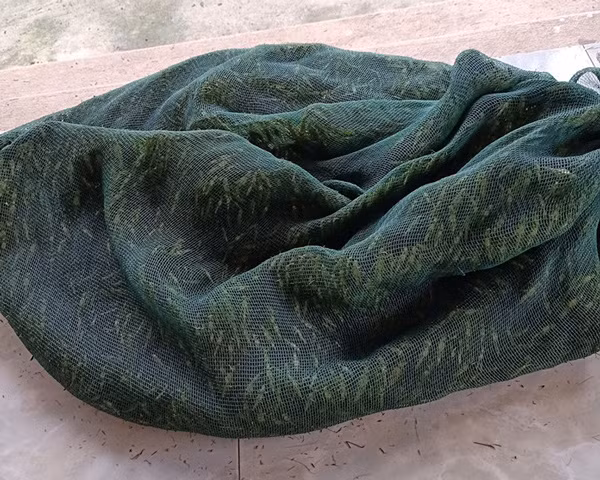 Nguoi Viet giang luoi bat “tom bay”, ca trieu dong/ngay-Hinh-2