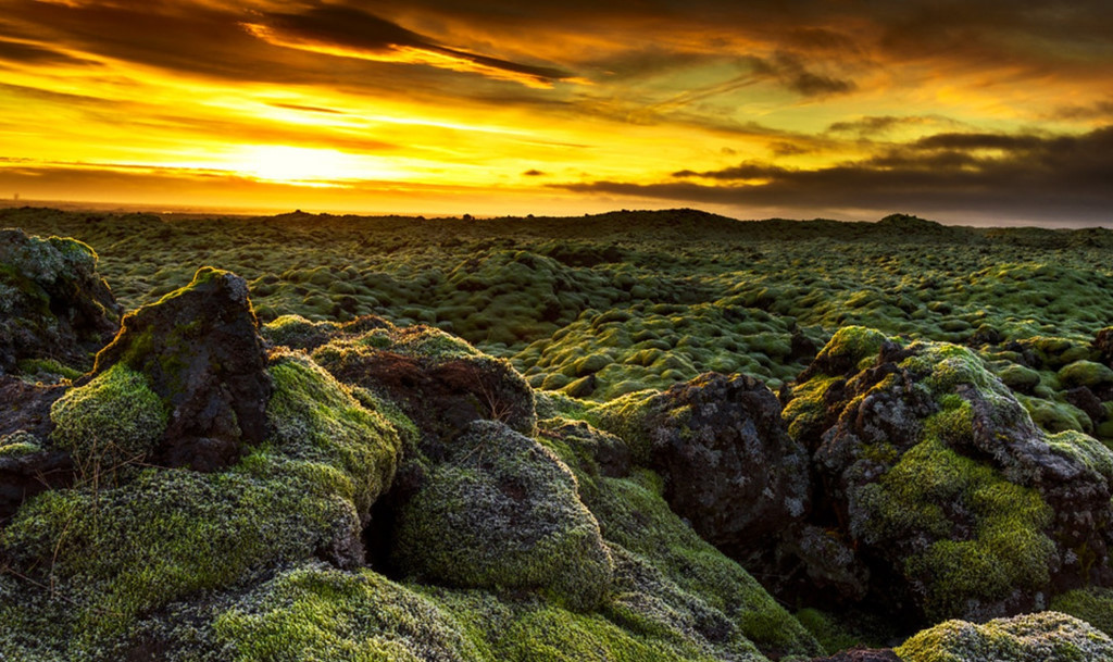 Bởi địa hình có sự tương đồng với bề mặt của Mặt Trăng, tấm thảm rêu ngoạn mục Eldhraun là nơi phi hành đoàn Apollo 11 huấn luyện để chuẩn bị cho chuyến đi trên Mặt Trăng vào năm 1969. Ảnh: Ineleech.