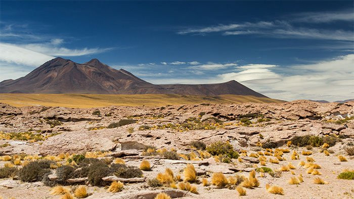Sa mạc Atacama khô cằn nhất thế giới - (ảnh: SHUTTERSTOCK).
