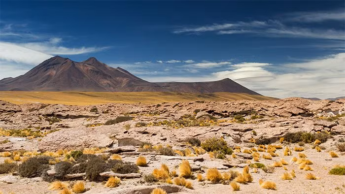 Sa mạc Atacama khô cằn nhất thế giới - (ảnh: SHUTTERSTOCK).