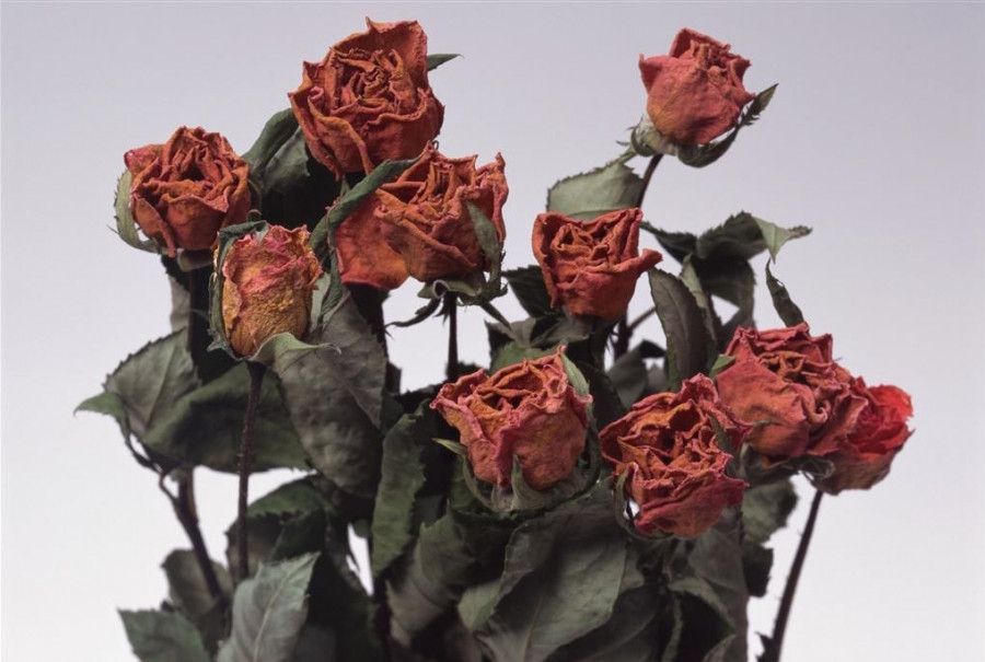 5 thu can ha gap khoi ban tho sau Tet am lich keo hao tai ton cua