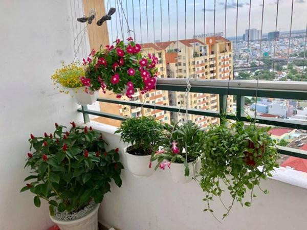 Với gam màu trắng là chủ đạo, người đẹp treo những bức ảnh của cô lên tường làm điểm nhấn cho không gian phòng khách của căn hộ. Gối đặt trên sofa và thảm cũng có họa tiết ấn tượng. Người hâm mộ đều rất mừng cho cô vì trước đó Nguyễn Thị Thành còn được biết đến với biệt danh “người đẹp nghèo khó” khi đi thi chỉ mang 3 chiếc váy, nhà ở quê cũng thuộc top hoa hậu nghèo.