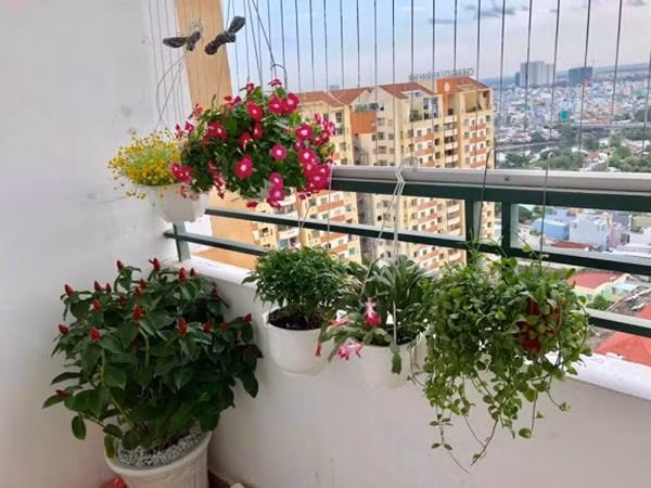 Với gam màu trắng là chủ đạo, người đẹp treo những bức ảnh của cô lên tường làm điểm nhấn cho không gian phòng khách của căn hộ. Gối đặt trên sofa và thảm cũng có họa tiết ấn tượng. Người hâm mộ đều rất mừng cho cô vì trước đó Nguyễn Thị Thành còn được biết đến với biệt danh “người đẹp nghèo khó” khi đi thi chỉ mang 3 chiếc váy, nhà ở quê cũng thuộc top hoa hậu nghèo.