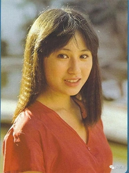 Nhan Tam Nguyên cũng là kẻ vũ phu, đánh vợ như cơm bữa khiến Đới Lương Thuần bị sảy thai nhiều lần. Cuộc sống tiếp tục là chuỗi ngày tủi nhục cho tới khi bà phải bỏ trốn sang Nhật để hy vọng tìm cuộc sống mới.