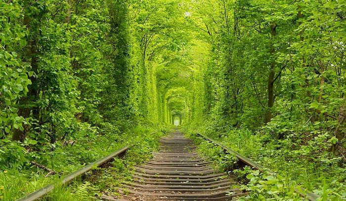 6. Đường hầm tình yêu Một phần của đường sắt công nghiệp ở Ukraine, đường hầm lá xanh này có vẻ như là một nơi chỉ có trong cổ tích. Nó được biết đến là một điểm đến yêu thích cho các cặp vợ chồng đi dạo buổi sáng hoặc buổi tối. Nếu bạn lên kế hoạch để gây bất ngờ cho người yêu của bạn vào ngày Valentine, hãy từ bỏ chuyến đi thông thường đến Disneyland và đặt chuyến đi đến Ukraine. Bạn sẽ không thất vọng bởi mọi thứ mà Ukraine có. Vẻ đẹp của Đường hầm tình yêu sẽ làm bạn kinh ngạc.