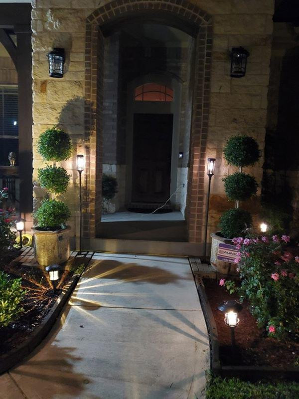 Tất cả cây cối đều 1 tay nam ca sĩ trồng.