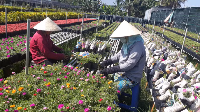 La doi hoa muoi gio no hoa ca ngay khong 