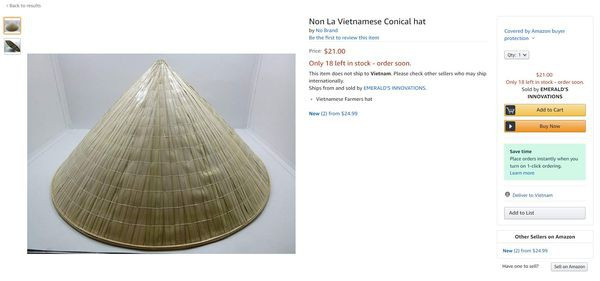 Dat gap 5 lan tren web nuoc ngoai, non la Viet Nam van chay hang-Hinh-2