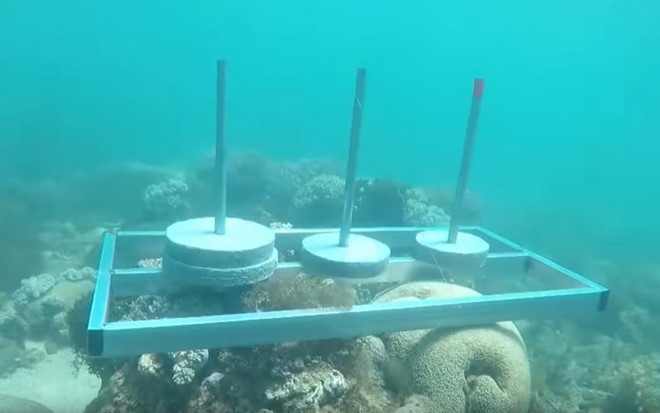 E-kip Cuoc dua ky thu dat be tong len ran san ho gay tranh cai