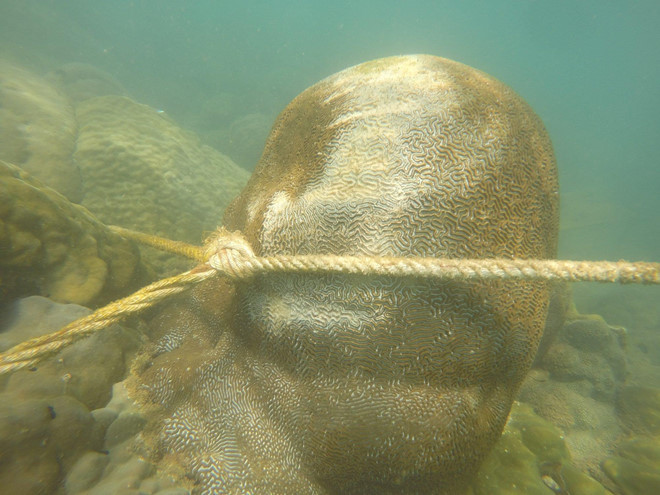 E-kip Cuoc dua ky thu dat be tong len ran san ho gay tranh cai-Hinh-2