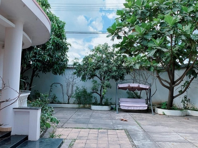 Việt Trinh vừa được tặng 3 gốc cây quý là lộc vừng, khế và mận An Phước lâu năm để bổ sung vào khu vườn của mình.