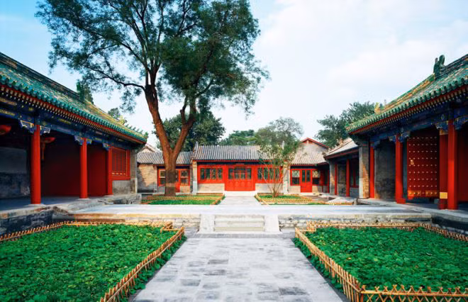 He lo cuoc song hoa le sau canh cua cac vuong phu nha Thanh-Hinh-2