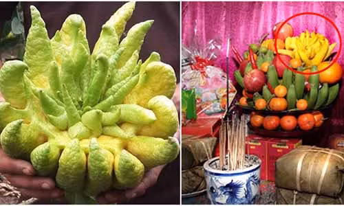 Luu y khi qua phat thu len tren ban tho keo xua duoi tai loc