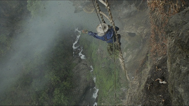 Mức giá bán của loại mật ong này có thể lên đến 133 USD - 177 USD/kg (3,1-4,1 triệu đồng) gấp 6 lần mật ong thông thường.