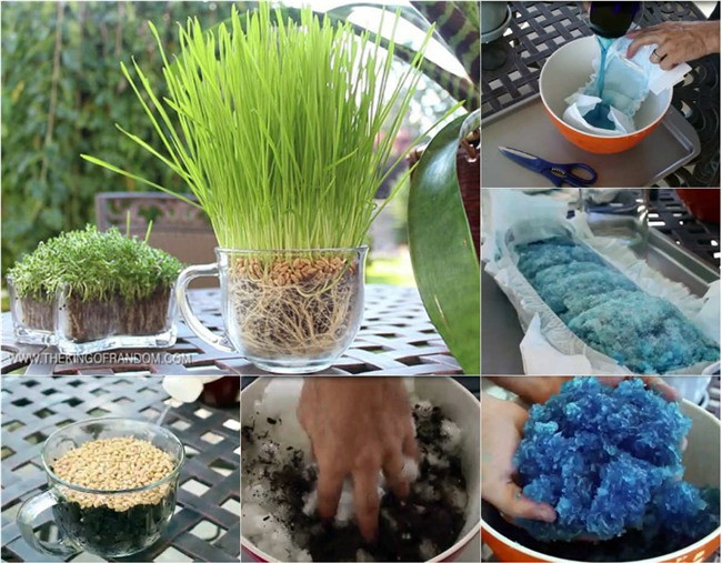 Trồng rau lớn vù vù bằng bỉm trẻ em: Khó tin nhưng có thật.