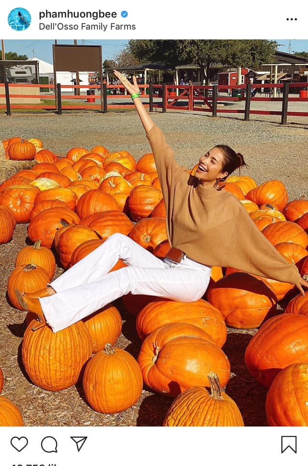 Và dĩ nhiên, nông trại rộng lớn chỉ mỗi Phạm Hương đi ngược lại số đông: ngồi và hồn nhiên tạo dáng. Hành động đó khiến dân mạng không khỏi bức xúc, nhất là khi nông trại tham quan đã gắn biển báo cấm ngay lối ra vào. Trước chỉ trích từ dân mạng, Phạm Hương giãi bày: "Hihi, mình tập trung quay quá nên không để ý biển phía sau. Lần sau sẽ cẩn thận hơn".