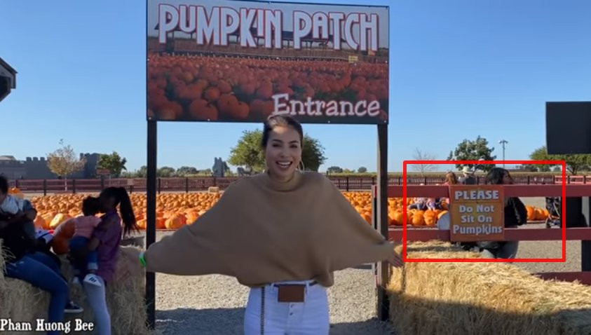 Tối 27/10, Phạm Hương trở thành tâm điểm chỉ trích trên mạng xã hội vì hành động kém duyên của mình. Cụ thể trên kênh Youtube cá nhân, Hoa hậu Hoàn vũ Việt Nam 2015 khoe được đến thăm vựa bí đỏ lớn nhất trong năm ở Mỹ. Nhưng mọi thứ sẽ thật hoàn hảo nếu Phạm Hương nhìn thấy biển báo cấm ngồi lên bí ngô, thì sẽ không xảy ra tranh cãi đến vậy.