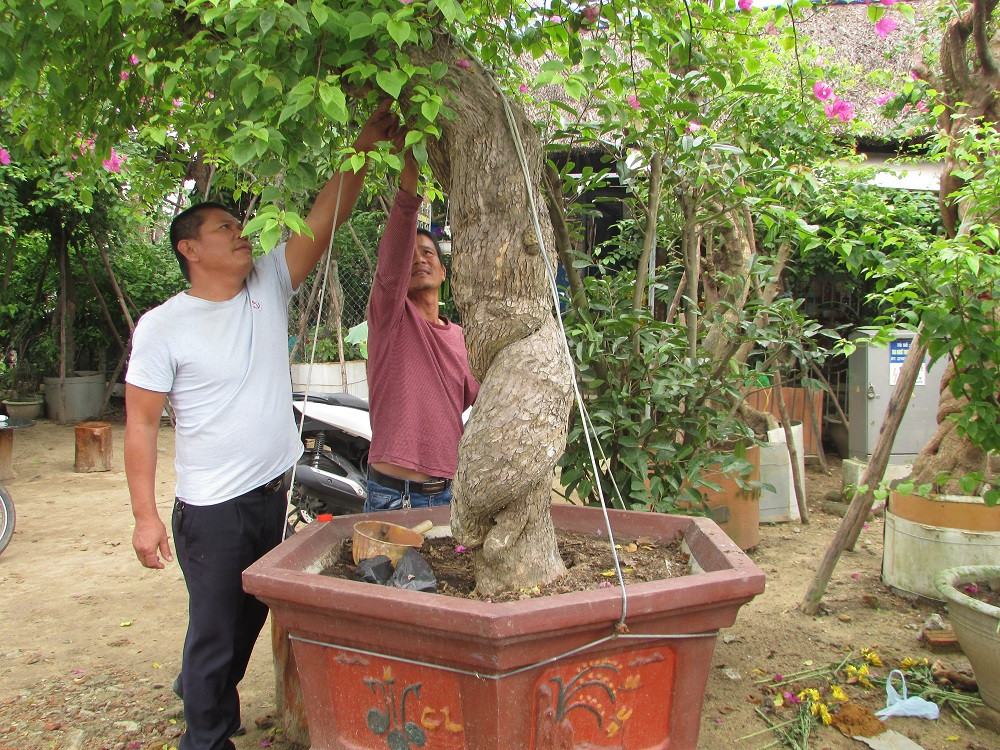 Da Nang: Kiem nua ty dong moi nam tu nghe 