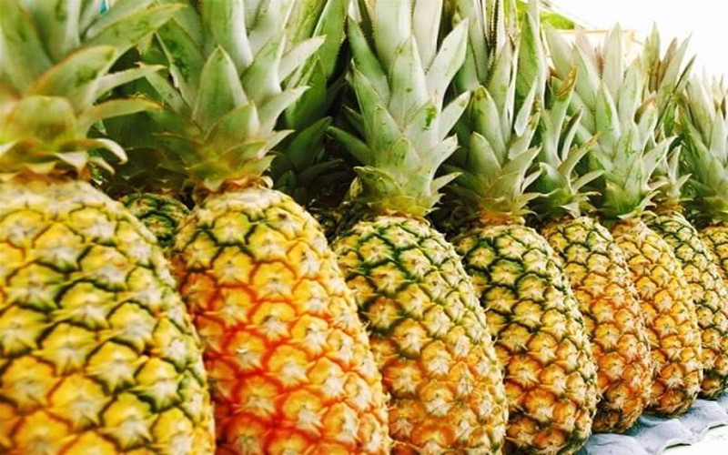 Quả dứa: Do dứa có nhiều bromelain làm hòa tan lượng hemaleucin và casein không tốt cho người bị suy thận.