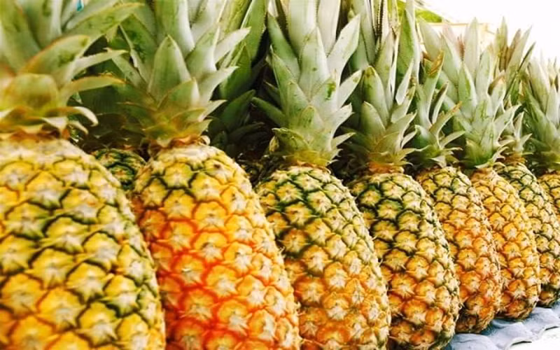 Quả dứa: Do dứa có nhiều bromelain làm hòa tan lượng hemaleucin và casein không tốt cho người bị suy thận.