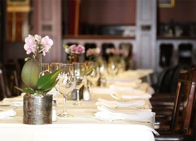 Phòng ăn: Cây lan. Một chậu lan trong phòng ăn sẽ có tác dụng khử mùi trong không khí mà không làm ảnh hưởng đến hương liệu thực phẩm.