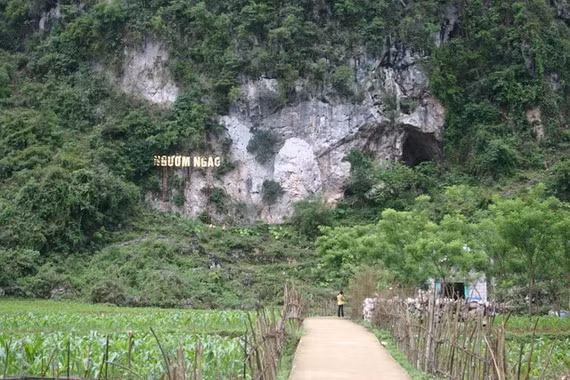 Ngườm Ngao là gì, theo tiếng dân tộc Tày có nghĩa là Động Hổ, do tương truyền xưa kia nơi đây có nhiều Hổ dữ sinh sống, nhưng cũng có thuyết cho rằng tiếng suối chảy trong lòng động vang dội vào những bức tường nhũ đá tạo nên âm thanh nghe giống tiếng gầm của loài Hổ.