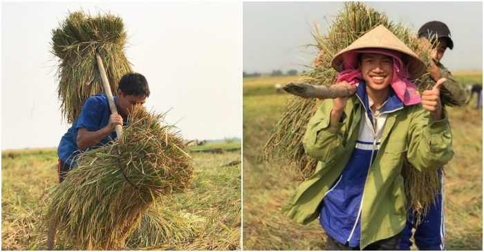 Thay giao va hoc sinh lam chuyen bat ngo giup hoc tro gat lua-Hinh-2