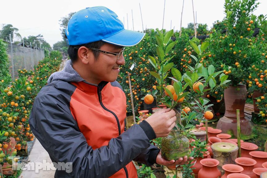 Anh Huy, một chủ vườn tại Tứ Liên cho biết: "Công đoạn này nhìn thì tưởng đơn giản song khi bắt tay vào việc thì khó khăn hơn tưởng tượng rất nhiều. Các chai thủy tinh cũng được lựa chọn thậm chí đi mua để có những chiếc ưng ý nhất mới dùng vào việc trồng quất được".