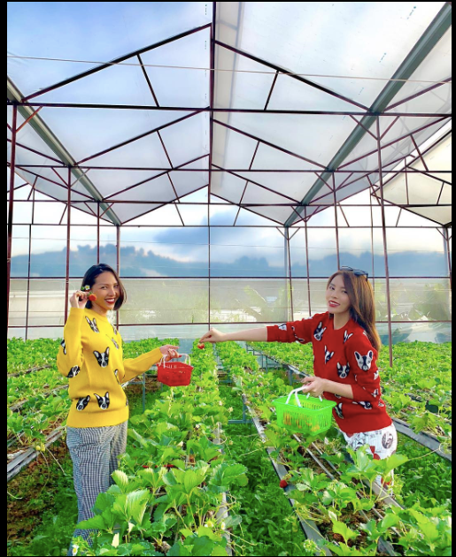 Hoa hau Ky Duyen bat ngo bi Minh Trieu 