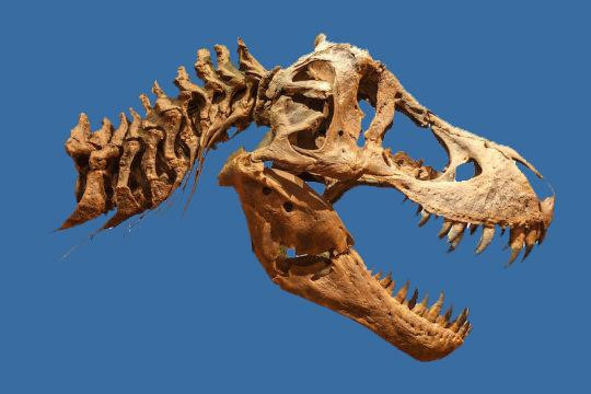 Khung long bao chua co san may dieu hoa nhiet do trong dau