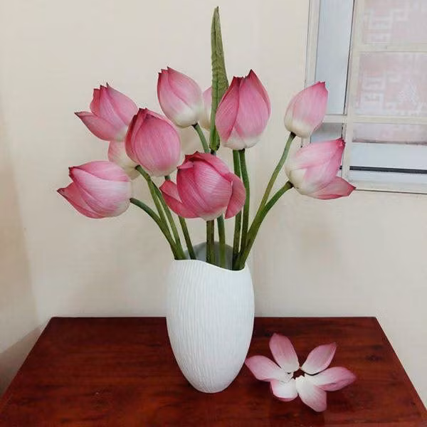 5 loai hoa phai bay phong khach, cuoi nam phat nhu dieu gap gio