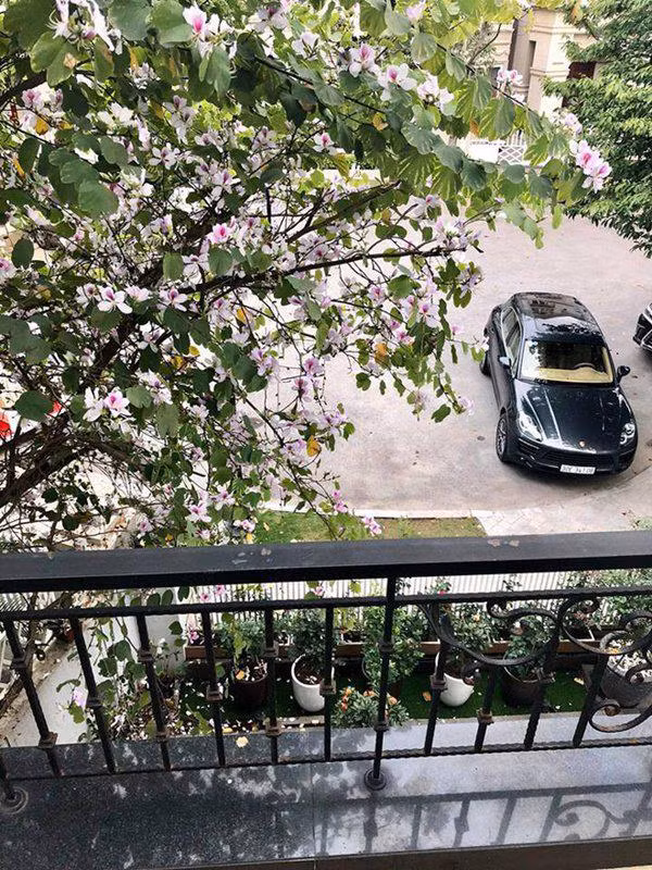 Ban công ngập nắng của gia đình cô.