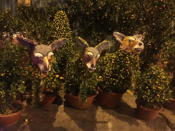 Đây có lẽ là chó sói?