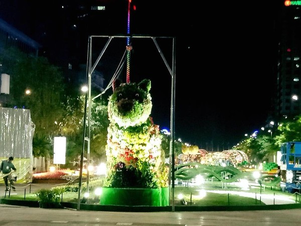 Chú chó với vẻ mặt bất ngờ.