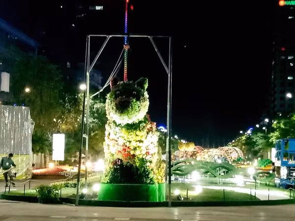 Chú chó với vẻ mặt bất ngờ.