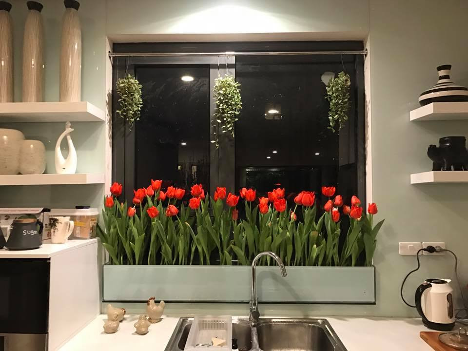 Chia sẻ ý tưởng độc đáo này, chị Thúy cho hay :" Vì khoang cửa sổ do chủ đầu tư thiết kế có phần hơi trống và thiếu điểm nhấn nên chị đã suy nghĩ và nảy ra ý định tạo một góc hoa vừa sinh động vừa mang lại không gian tràn đầy sức sống, không khí trong lành cho căn bếp nhỏ."