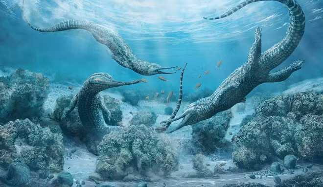 Quai vat giong ca sau to nhu xe hoi tung thong tri dai duong