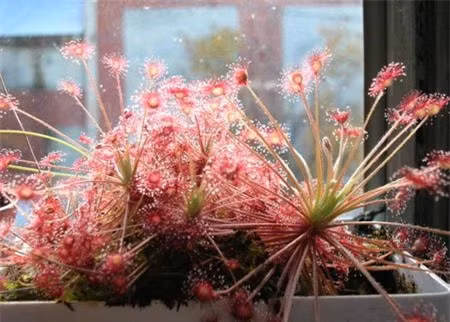 Giai ma bi an the gioi bua ngai thoi co dai-Hinh-2